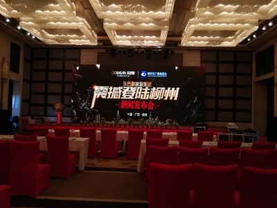 東巴象家裝集團(tuán)柳州新聞發(fā)布會(huì)成功舉辦，引領(lǐng)家居定制新篇章